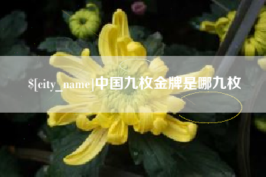 无锡中国九枚金牌是哪九枚