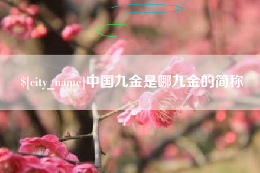 无锡中国九金是哪九金的简称