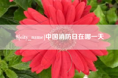 无锡中国消防日在哪一天
