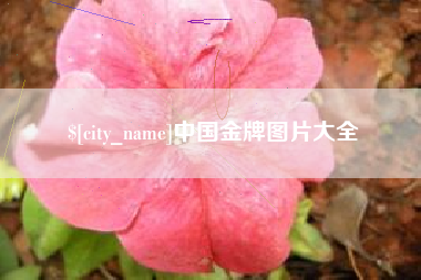 无锡中国金牌图片大全