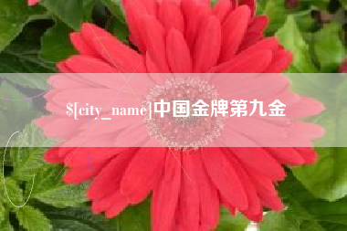 无锡中国金牌第九金