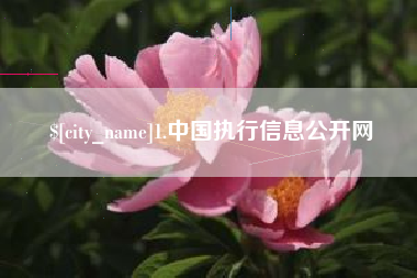无锡1.中国执行信息公开网
