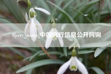 无锡中国执行信息公开网询