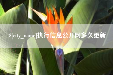 无锡执行信息公开网多久更新