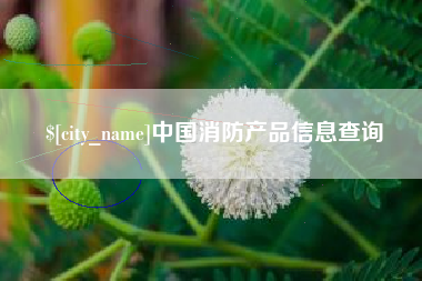 无锡中国消防产品信息查询