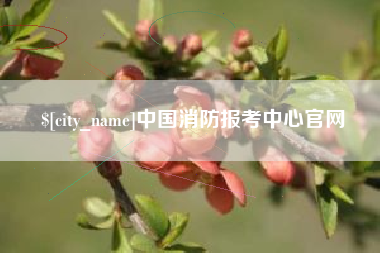 无锡中国消防报考中心官网