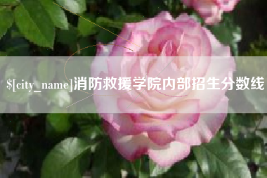 无锡消防救援学院内部招生分数线