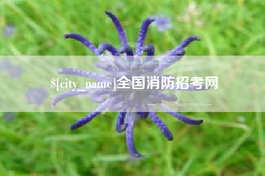 无锡全国消防招考网