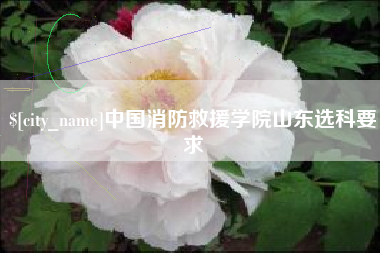 无锡中国消防救援学院山东选科要求
