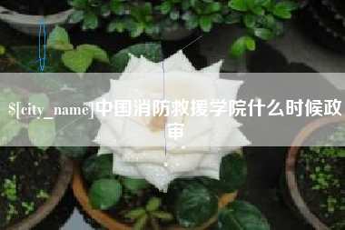 无锡中国消防救援学院什么时候政审