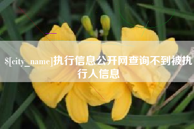 无锡执行信息公开网查询不到被执行人信息