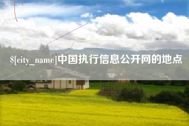 无锡中国执行信息公开网的地点