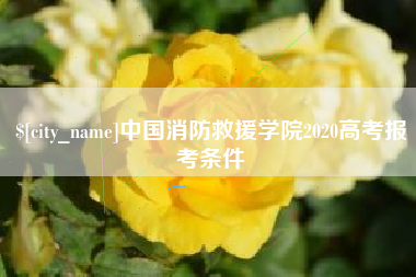 无锡中国消防救援学院2020高考报考条件