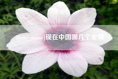 无锡现在中国哪几个金牌