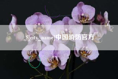 无锡中国消防官方