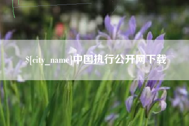无锡中国执行公开网下载