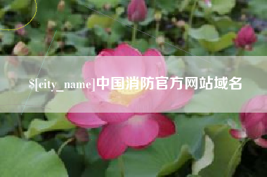 无锡中国消防官方网站域名