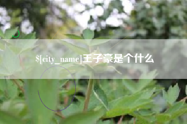 无锡王子豪是个什么