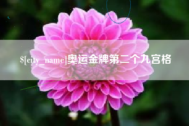 无锡奥运金牌第二个九宫格