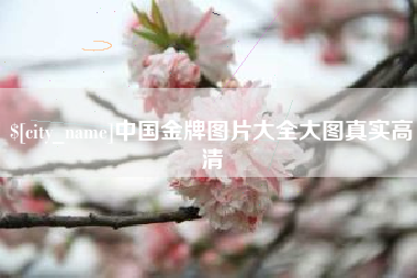 无锡中国金牌图片大全大图真实高清