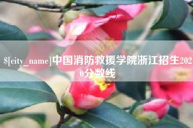 无锡中国消防救援学院浙江招生2020分数线