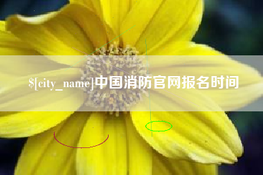 无锡中国消防官网报名时间