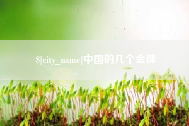 无锡中国的几个金牌