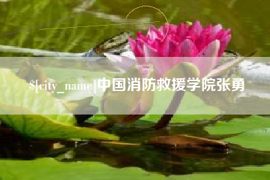 无锡中国消防救援学院张勇