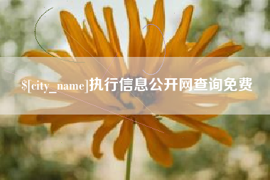 无锡执行信息公开网查询免费