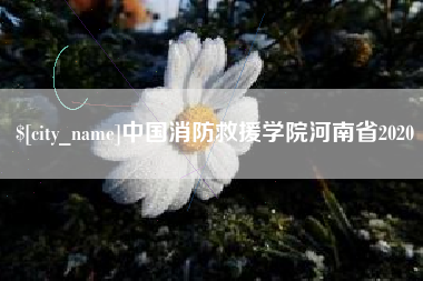 无锡中国消防救援学院河南省2020
