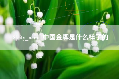 无锡中国金牌是什么样子的